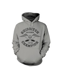 Harry Potter Quidditch...
