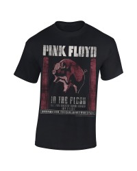 Pink Floyd -  In the Flesh...
