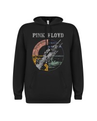 Pink Floyd Wish you were...