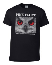 Pink Floyd - What do you...