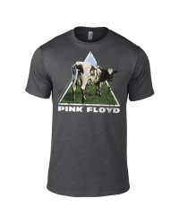 Pink Floyd - Atom Heart...