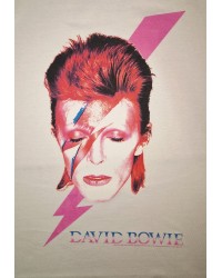 David Bowie Aladdin sane...